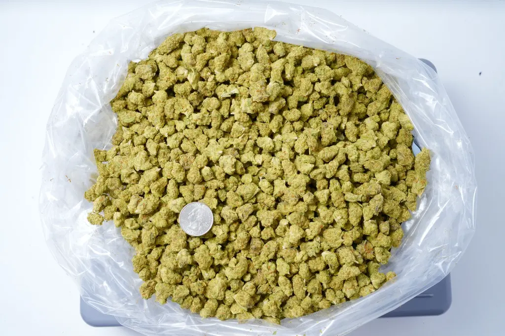 Sherb Scotty Smalls 6-10-26 BAG.webp