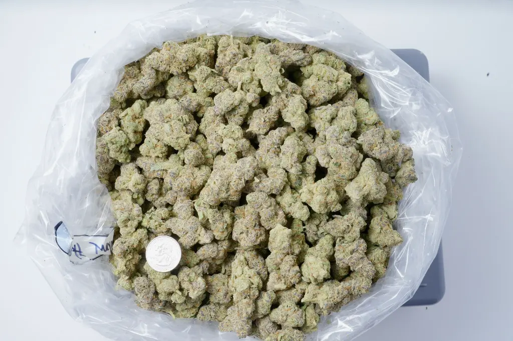 Hooch Indoor 6-10-26 BAG.webp