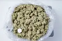 Hooch Indoor 6-10-26 BAG.webp