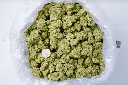 Jack Herer Indoor 6-10-26 BAG.webp
