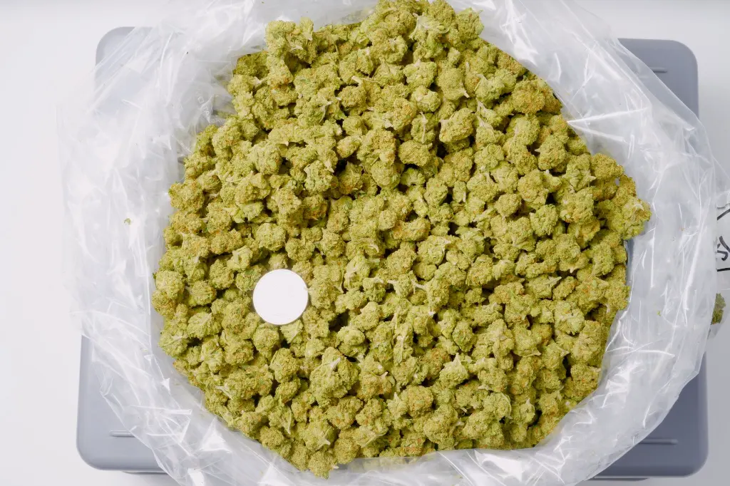 Pure Kush Smalls 6-11-26 BAG.webp