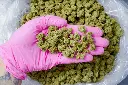 Pure Kush Smalls 6-11-26 PINK.webp