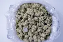 Black Velvet Indoor 6-11-26 BAG.webp