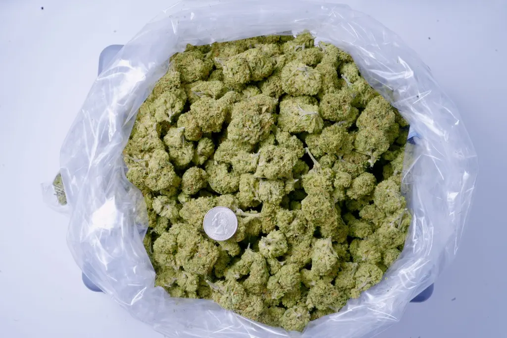 Amaretto Sour BAG 6-11-26.webp