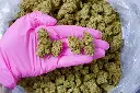 Sour Kush Breath 6-11-26 PINK.webp