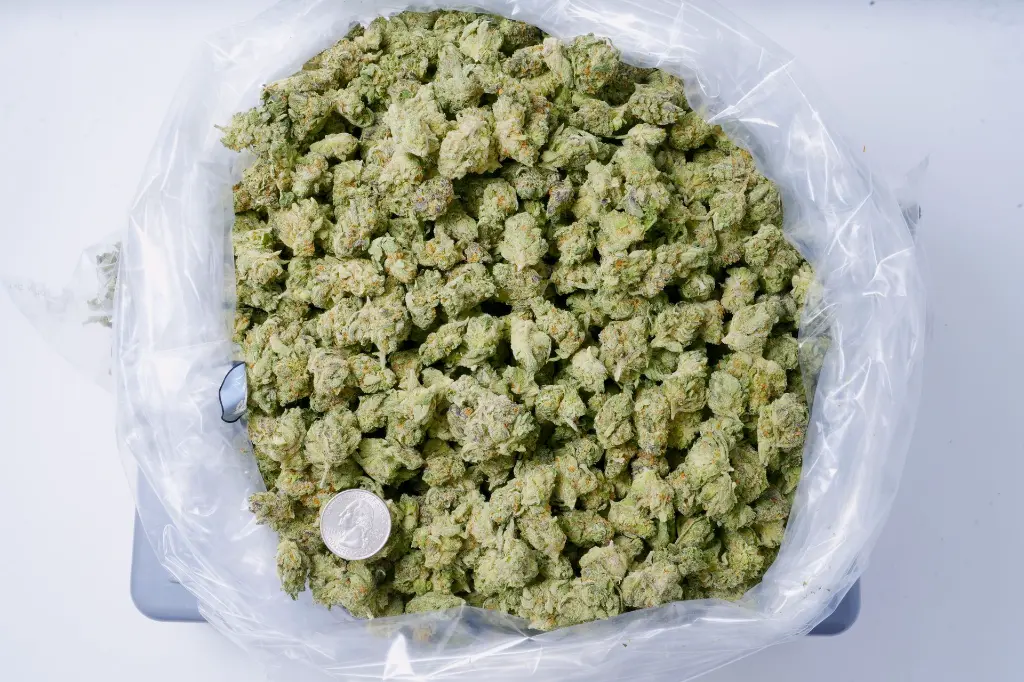 Black Cherry Soda Meds 6-10-26 BAG.webp
