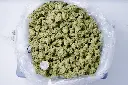 Black Cherry Soda Meds 6-10-26 BAG.webp