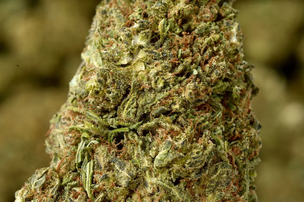 Wedding Cake 5-18-26 MACRO Edit - 00000003.webp