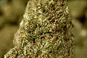 Wedding Cake 5-18-26 MACRO Edit - 00000003.webp