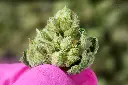 Cereal Milk Smalls 6-9-26 MACRO.webp