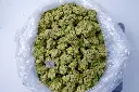 Lambs Breath 6-17-26 BAG.webp