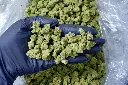 Greasy Pink Smalls 6-17-26 PINK.webp