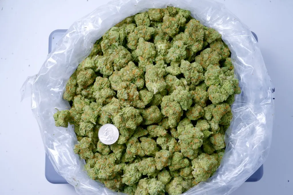Black Garlic Gelato 6-17-26 BAG.webp