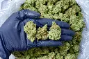 Black Garlic Gelato 6-17-26 PINK.webp