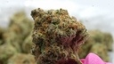vimeo - [Video]