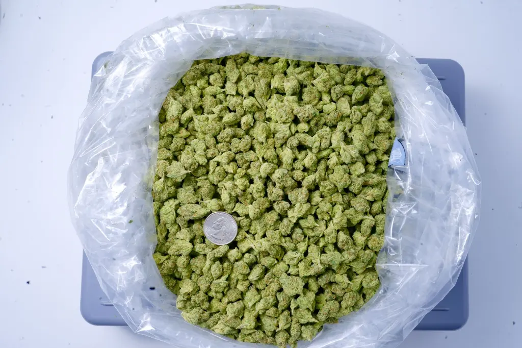 Ghost Train Smalls 6-17-26 BAG.webp