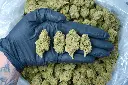 Gelato#33 6-16-26 PINK (1).webp
