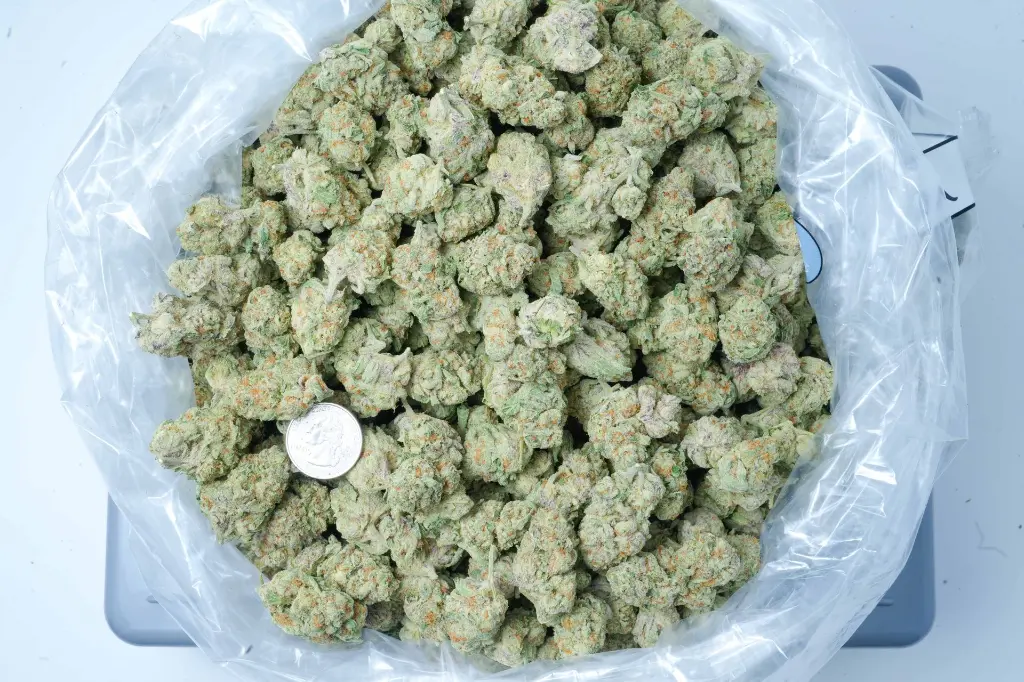 Purple Punch 6-16-26 BAG.webp