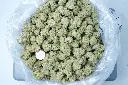 Purple Punch 6-16-26 BAG.webp