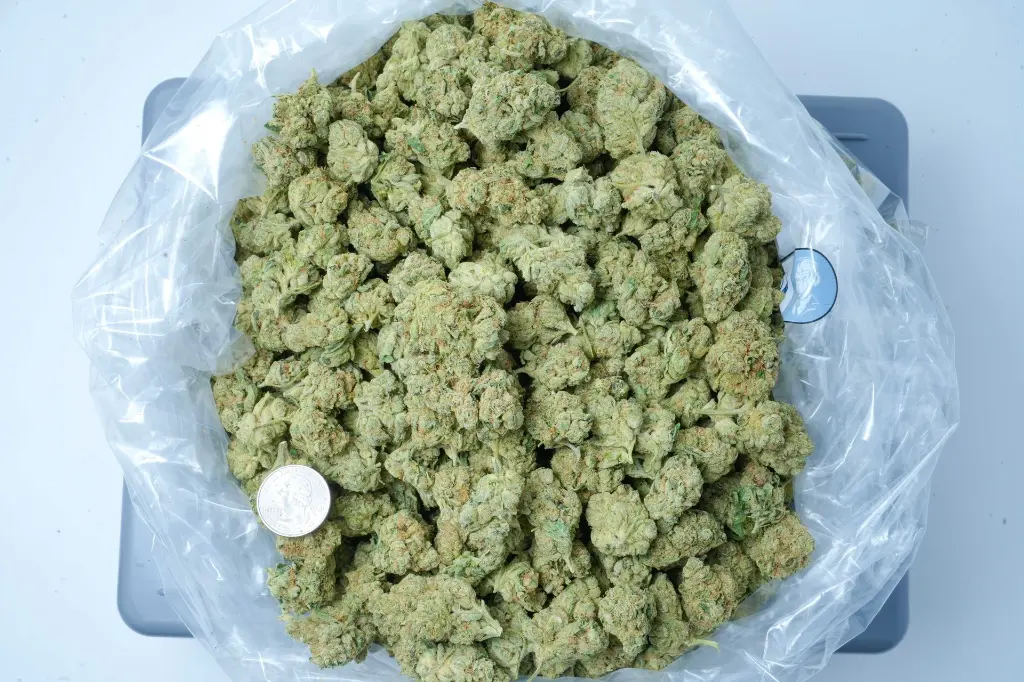 Wedding Cake 6-16-26 BAG.webp