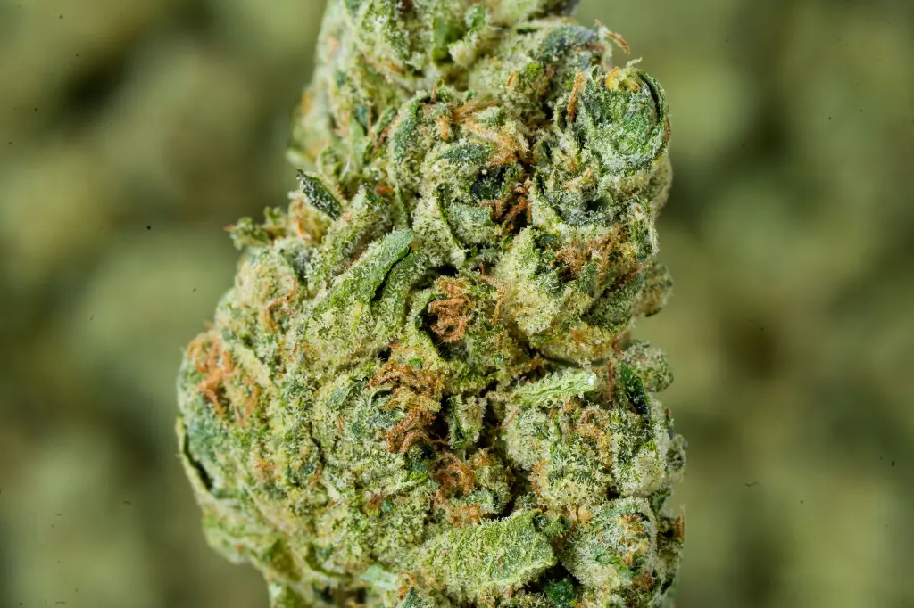 Wedding Cake 6-16-26 MACRO.webp