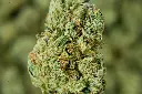 Wedding Cake 6-16-26 MACRO.webp