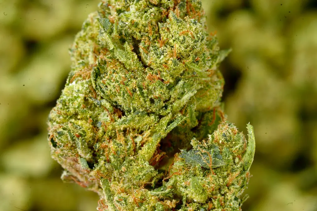 Special K MACRO 6-18-26 .webp
