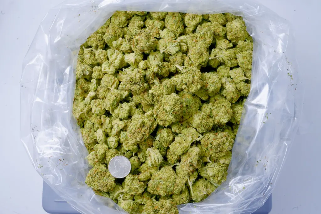 Special K 6-18-26 BAG.webp