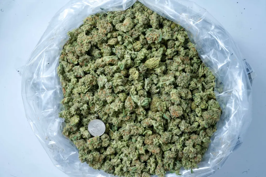 Blue Dream Smalls 6-23-26 BAG.webp