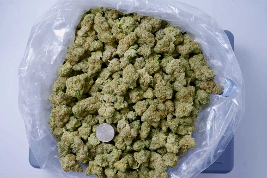 Zoap 6-29-26 BAG (1).webp