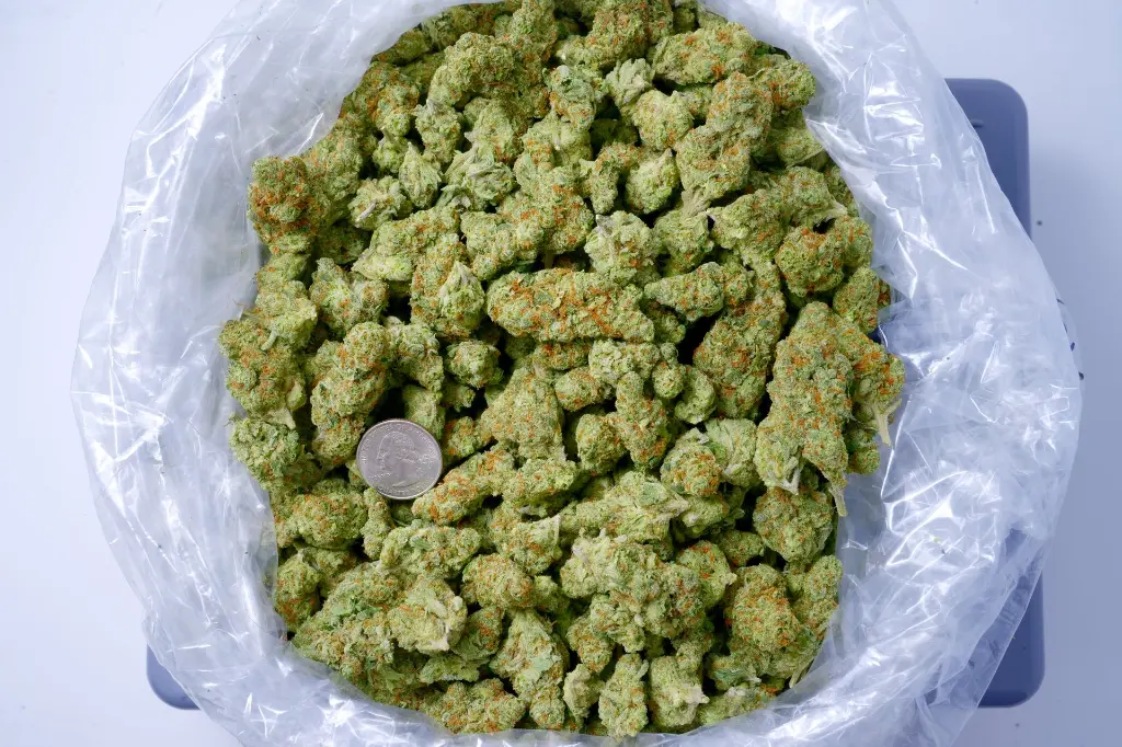 Cold As Ice 6-29-26 BAG.webp