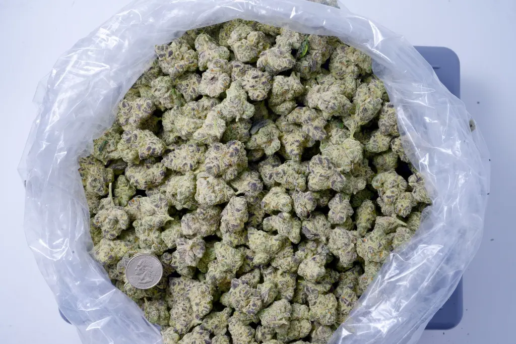 Lilac Diesel 6-29-26 BAG.webp