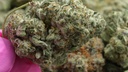 vimeo - [Video]