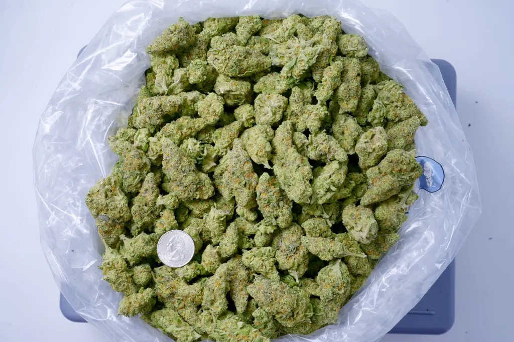 Hawaiian Snow BAG 6-29-26.webp