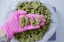 Hawaiian Snow 6-29-26 PINK.webp