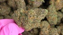 vimeo - PB Shake