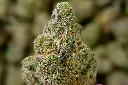 PB Shake 6-29-26 MACRO.webp