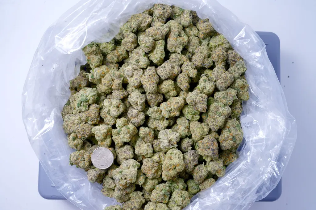 BB Muffin 6-29-26 BAG.webp