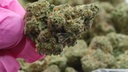 vimeo - [Video]