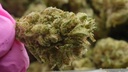 vimeo - [Video]