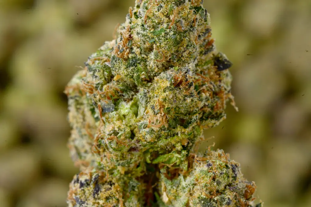 EDIT - 00000004 (5).webp