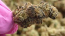vimeo - [Video]