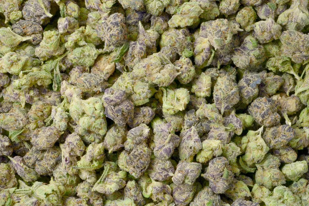 Gushers Smalls