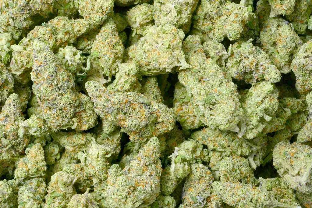 Hawaiian Snow 