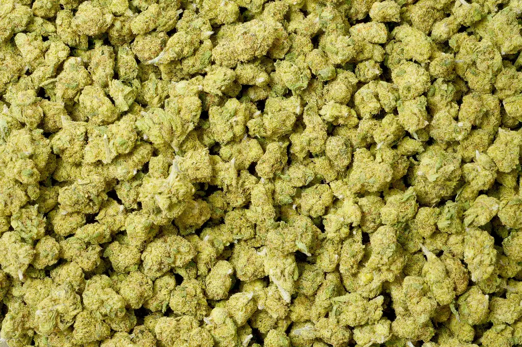 Hell's Angel OG Smalls