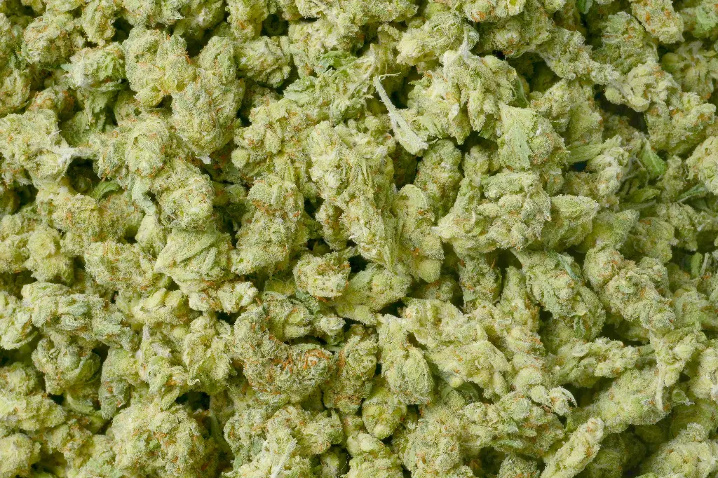 Jack Herer Smalls