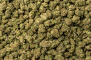 Jack Herer Smalls
