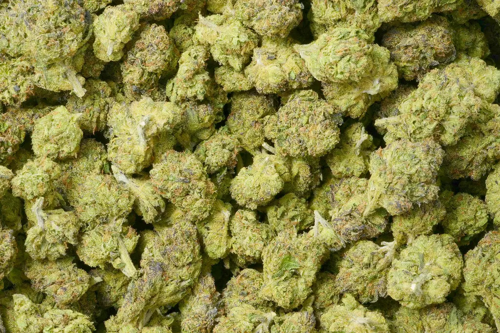 Lemon Cherry Gelato