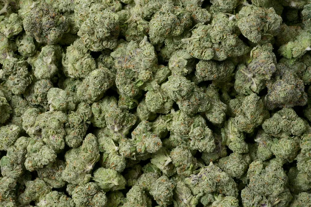 Lemon Cherry Gelato Mediums