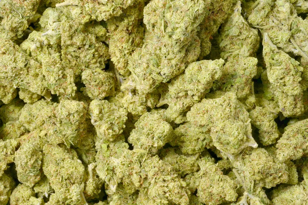 Lemon Zonkers